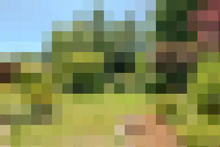 Pilotenlaan 9 Meppel thumbnail 46