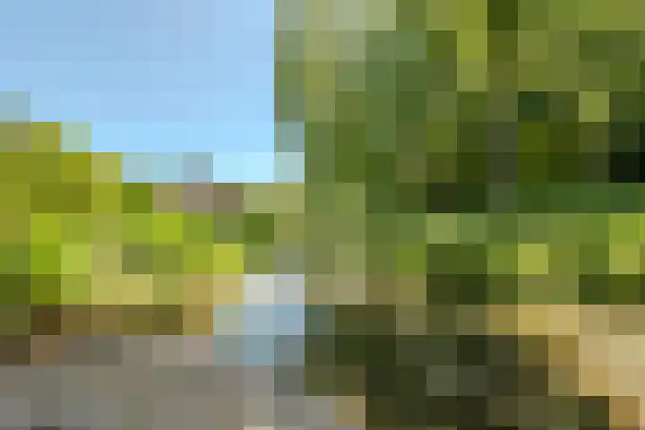 Pilotenlaan 9 Meppel thumbnail 49
