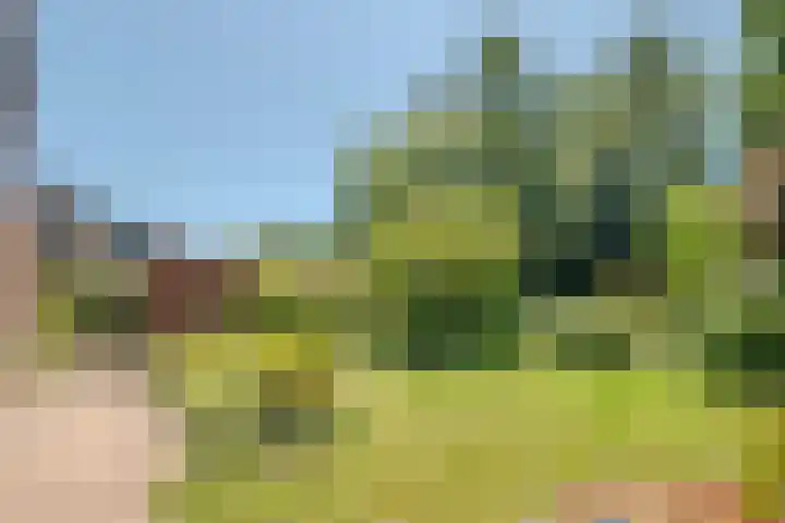 Pilotenlaan 9 Meppel thumbnail 50