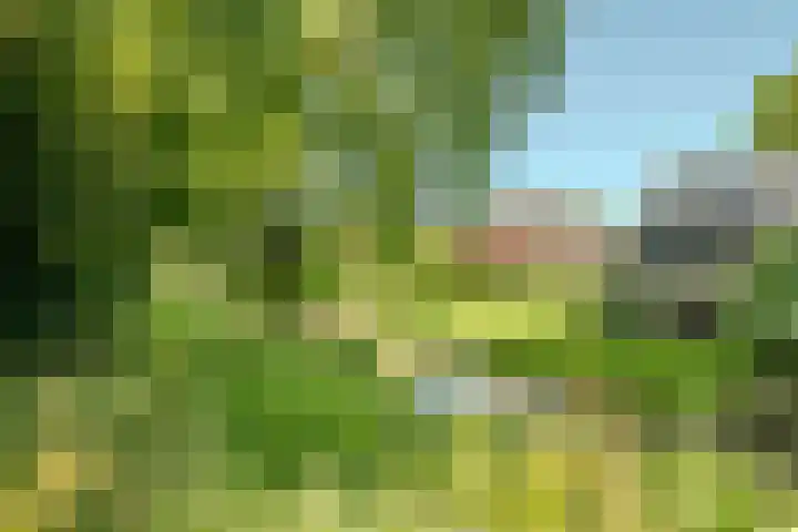 Pilotenlaan 9 Meppel thumbnail 51