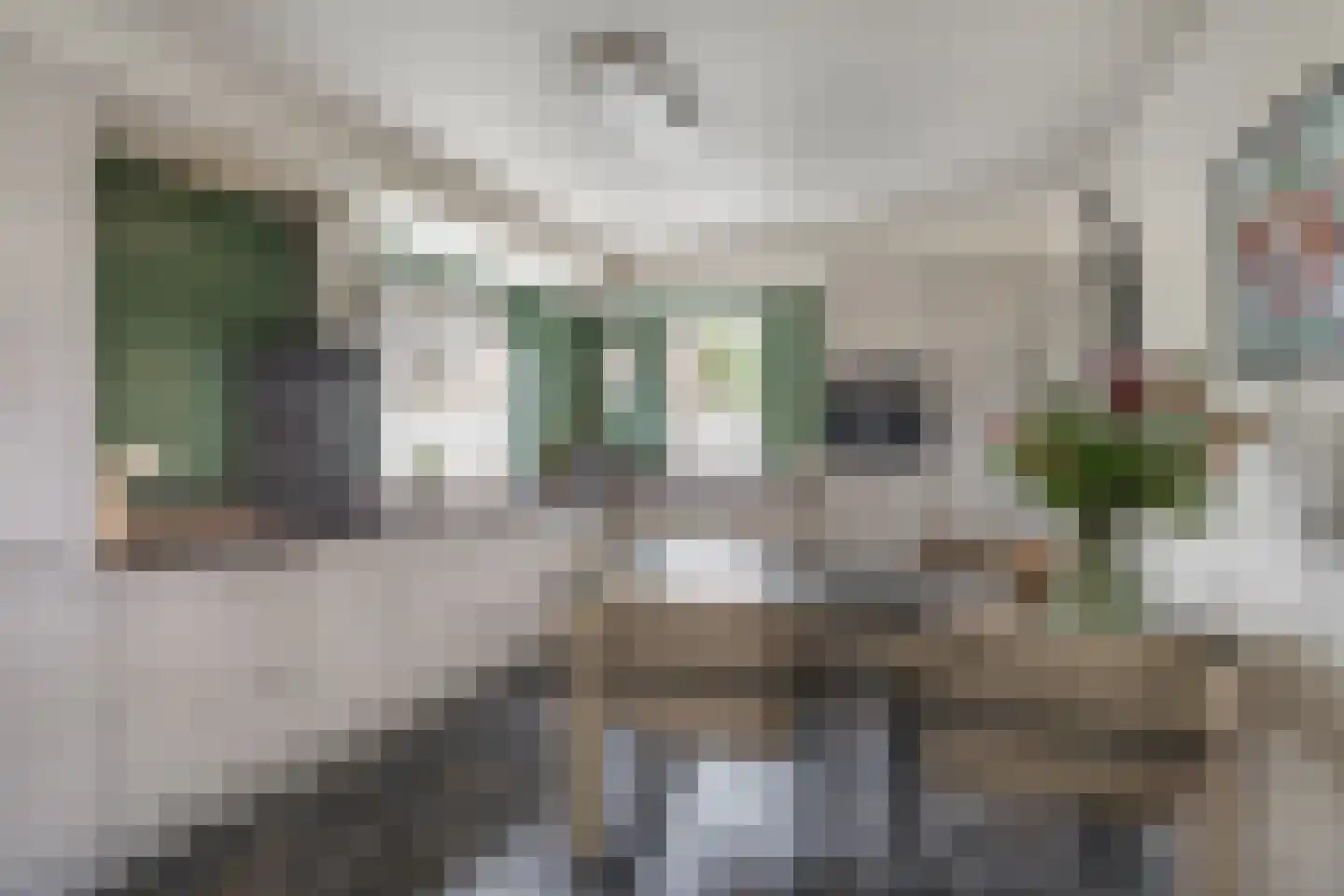 Pilotenstraat 18 Den Dungen thumbnail 12