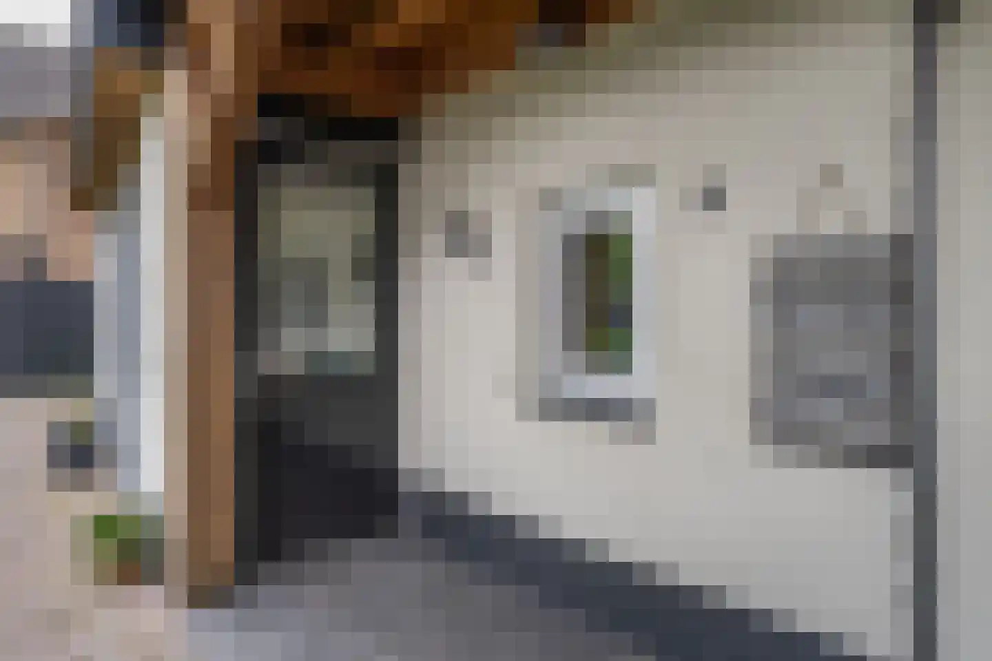 Pilotenstraat 18 Den Dungen thumbnail 20