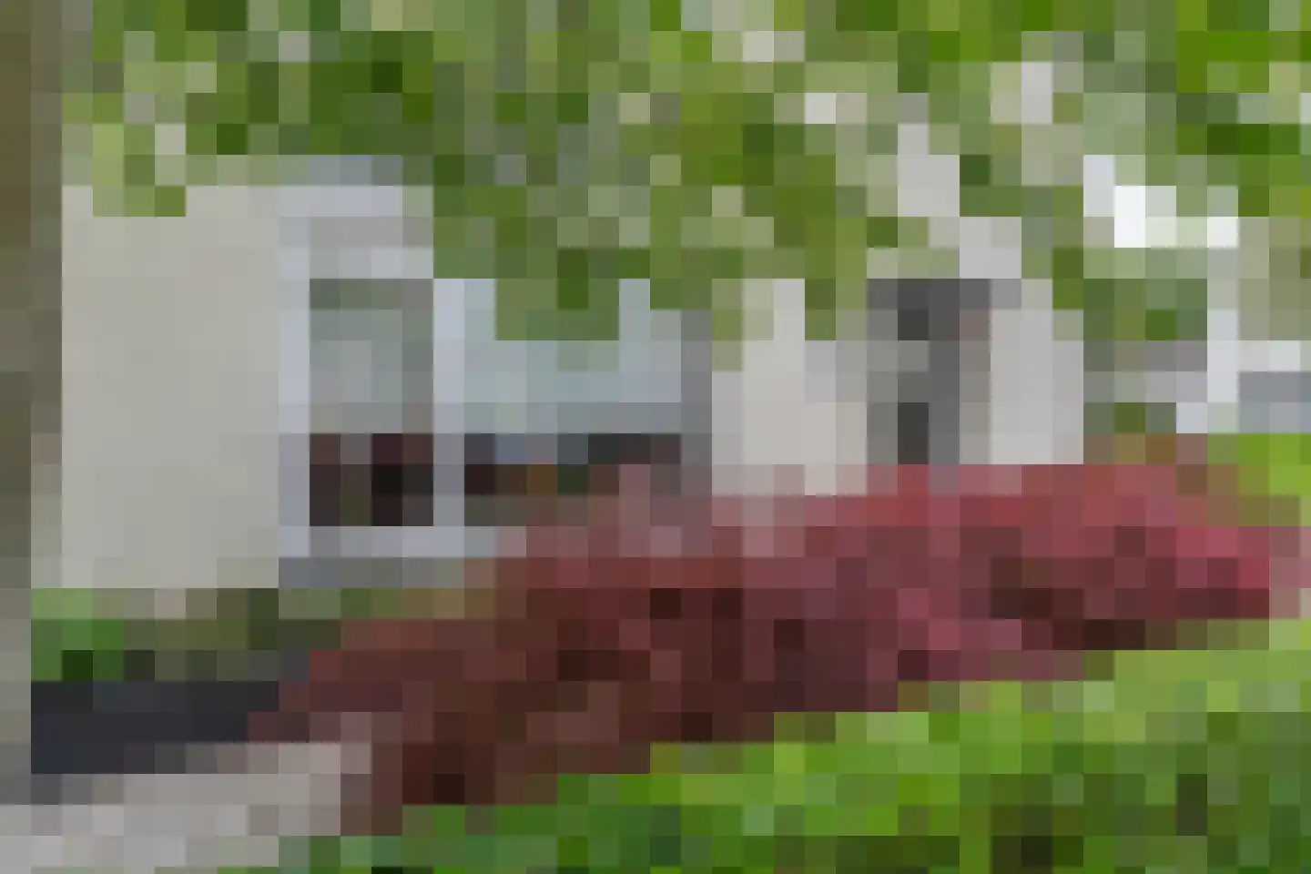 Pilotenstraat 18 Den Dungen thumbnail 23