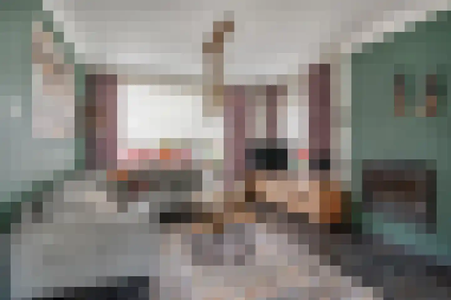 Pilotenstraat 18 Den Dungen thumbnail 24
