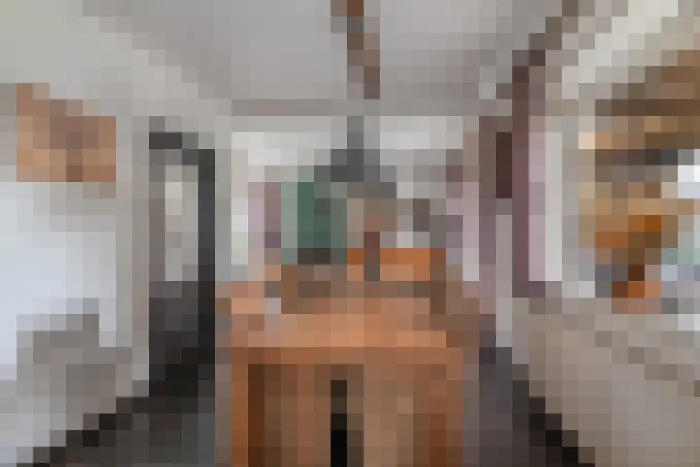 Pilotenstraat 18 Den Dungen thumbnail 27