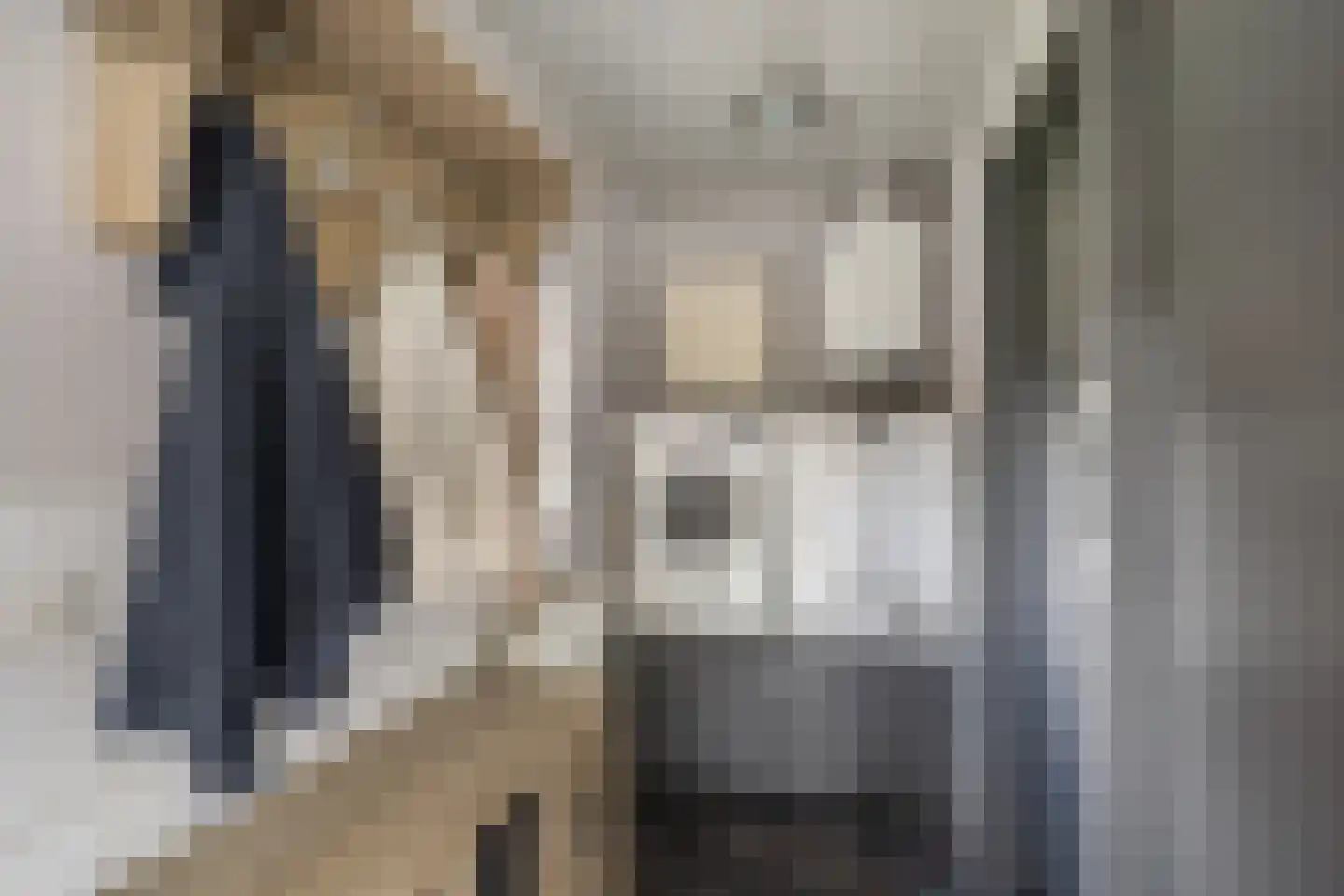 Pilotenstraat 18 Den Dungen thumbnail 9