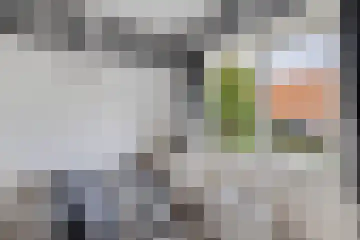 Pilotenweg 22 Emmeloord thumbnail 28
