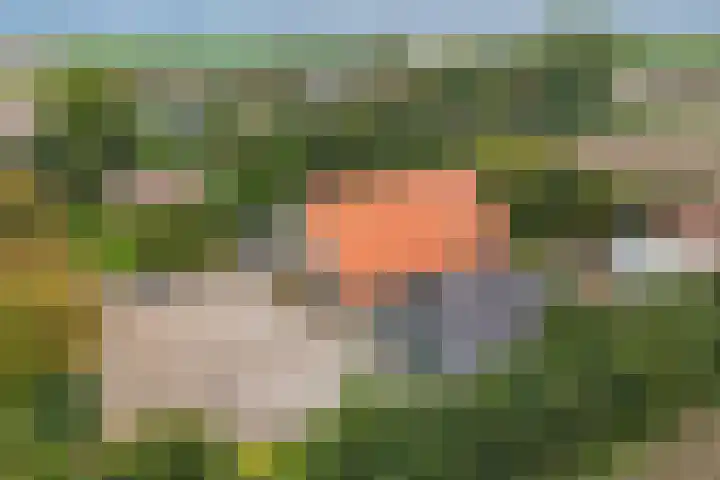 Pilotenweg 22 Emmeloord thumbnail 33