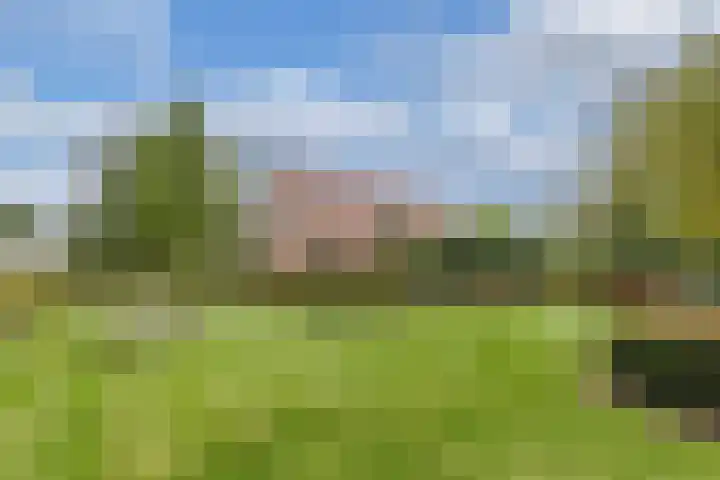 Pilotenweg 22 Emmeloord thumbnail 34