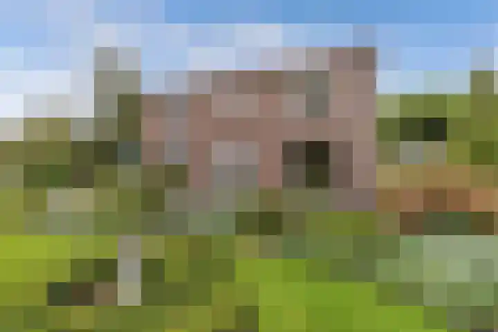 Pilotenweg 22 Emmeloord thumbnail 36