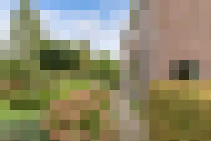 Pilotenweg 22 Emmeloord thumbnail 37