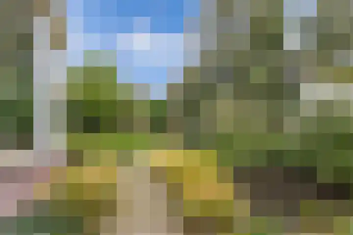 Pilotenweg 22 Emmeloord thumbnail 38