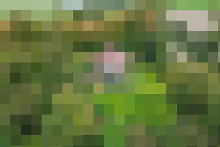 Pilotenweg 22 Emmeloord thumbnail 42
