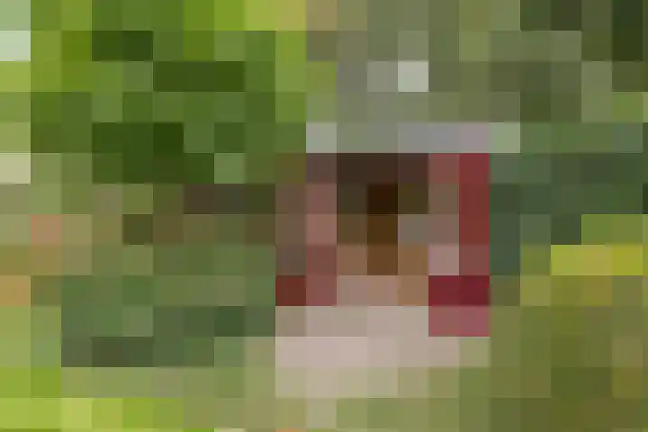 Pilotenweg 22 Emmeloord thumbnail 43