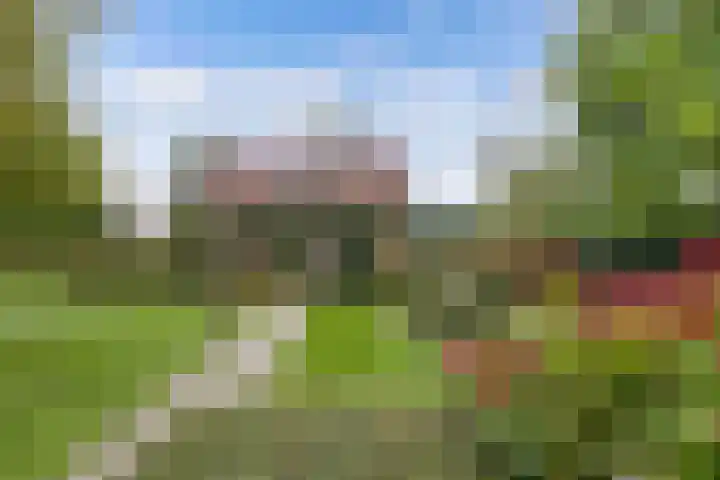 Pilotenweg 22 Emmeloord thumbnail 45