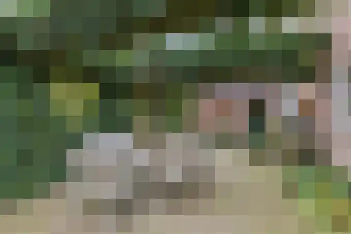Pilotenweg 22 Emmeloord thumbnail 47