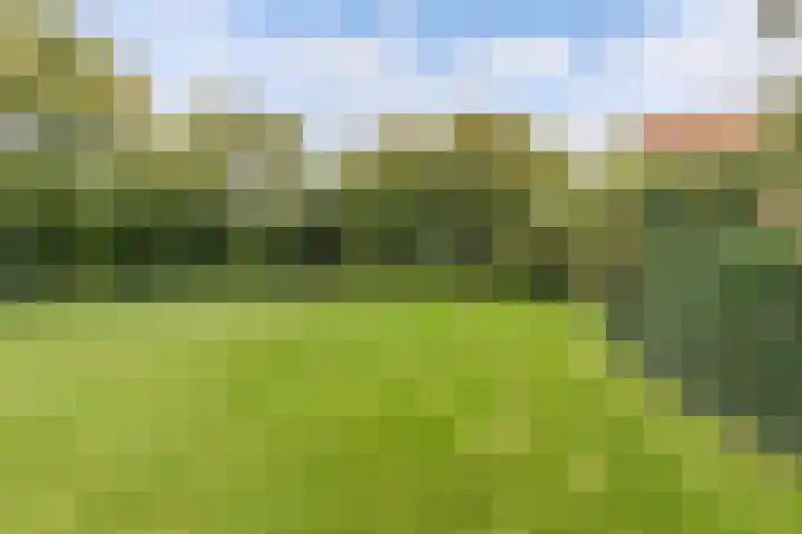 Pilotenweg 22 Emmeloord thumbnail 49