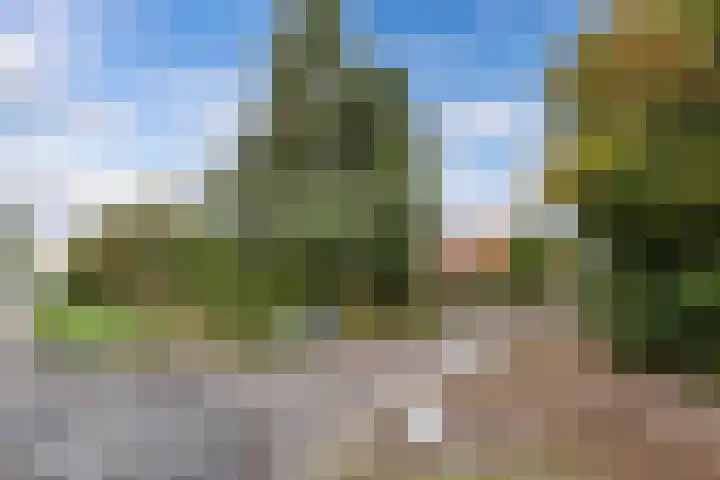Pilotenweg 22 Emmeloord thumbnail 51