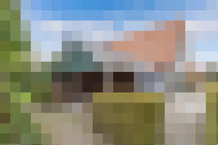 Pilotenweg 22 Emmeloord thumbnail 57