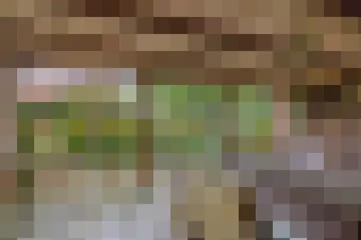 Pilotenweg 22 Emmeloord thumbnail 59
