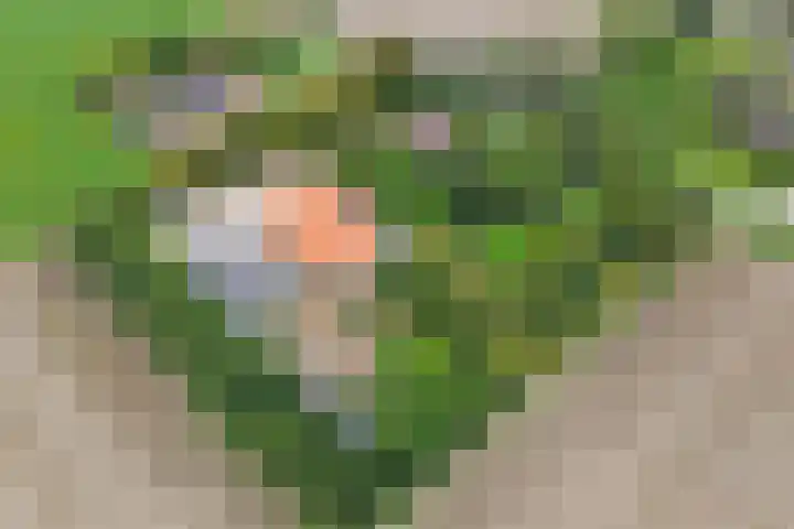 Pilotenweg 22 Emmeloord thumbnail 62