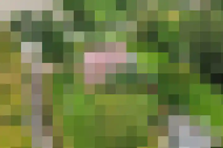 Pilotenweg 22 Emmeloord thumbnail 63