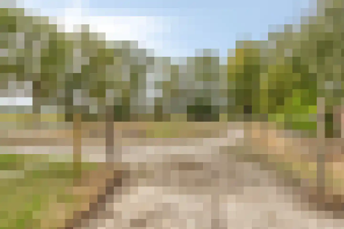 Pilotenweg 29 2 Espel thumbnail 34
