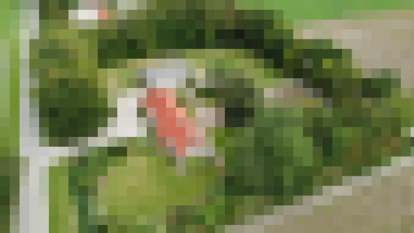 Pilotenweg 29 2 Espel thumbnail 4