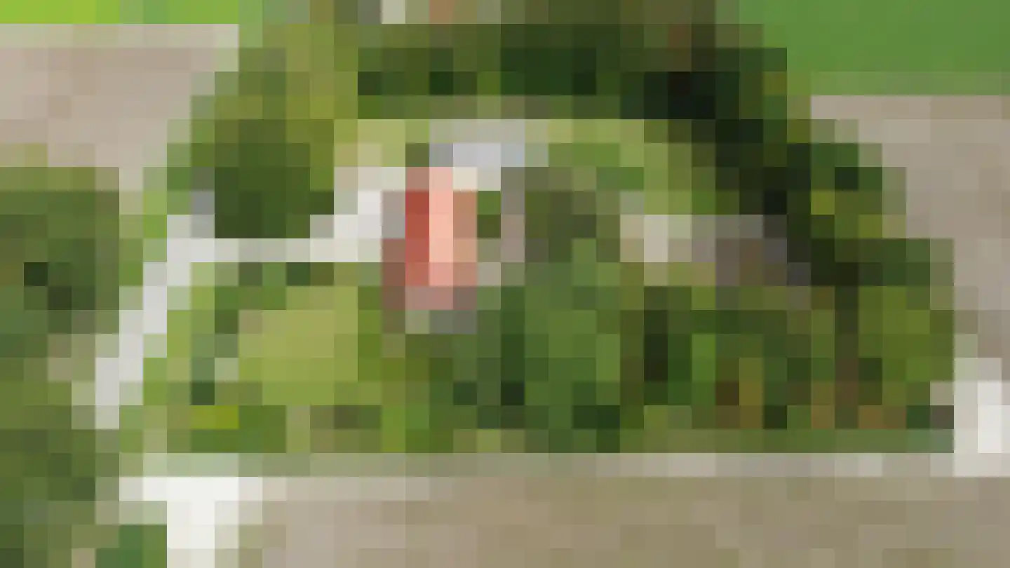 Pilotenweg 29 2 Espel thumbnail 46