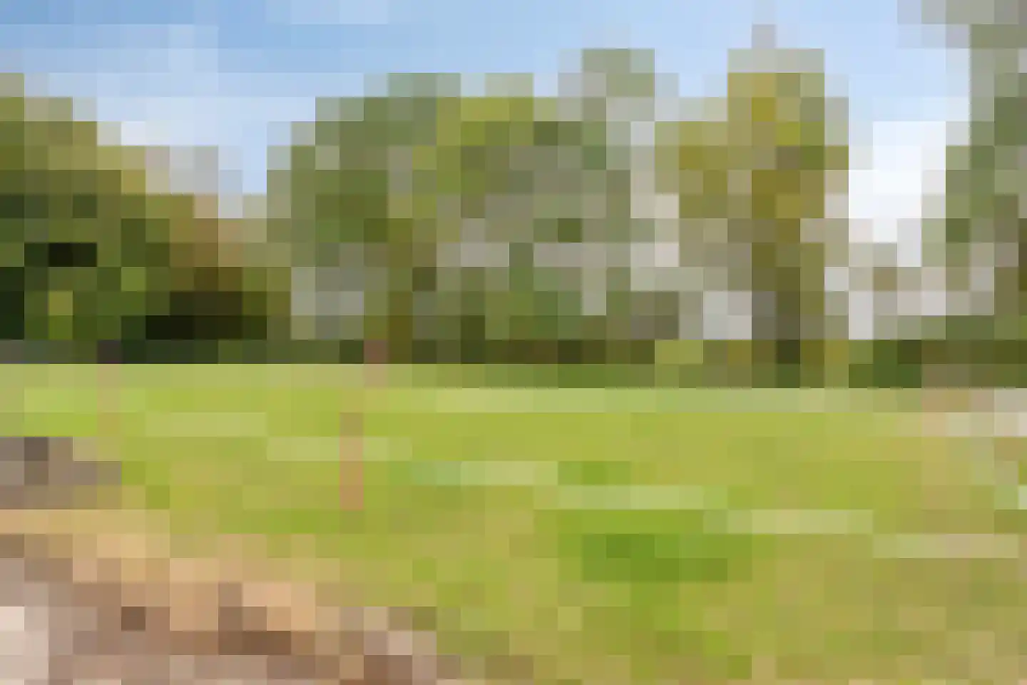 Pilotenweg 29 2 Espel thumbnail 6