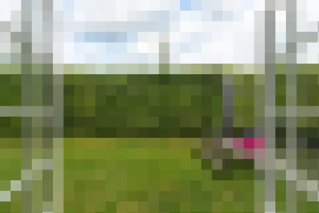 Pim Jacobsstraat 23 Hilversum thumbnail 37