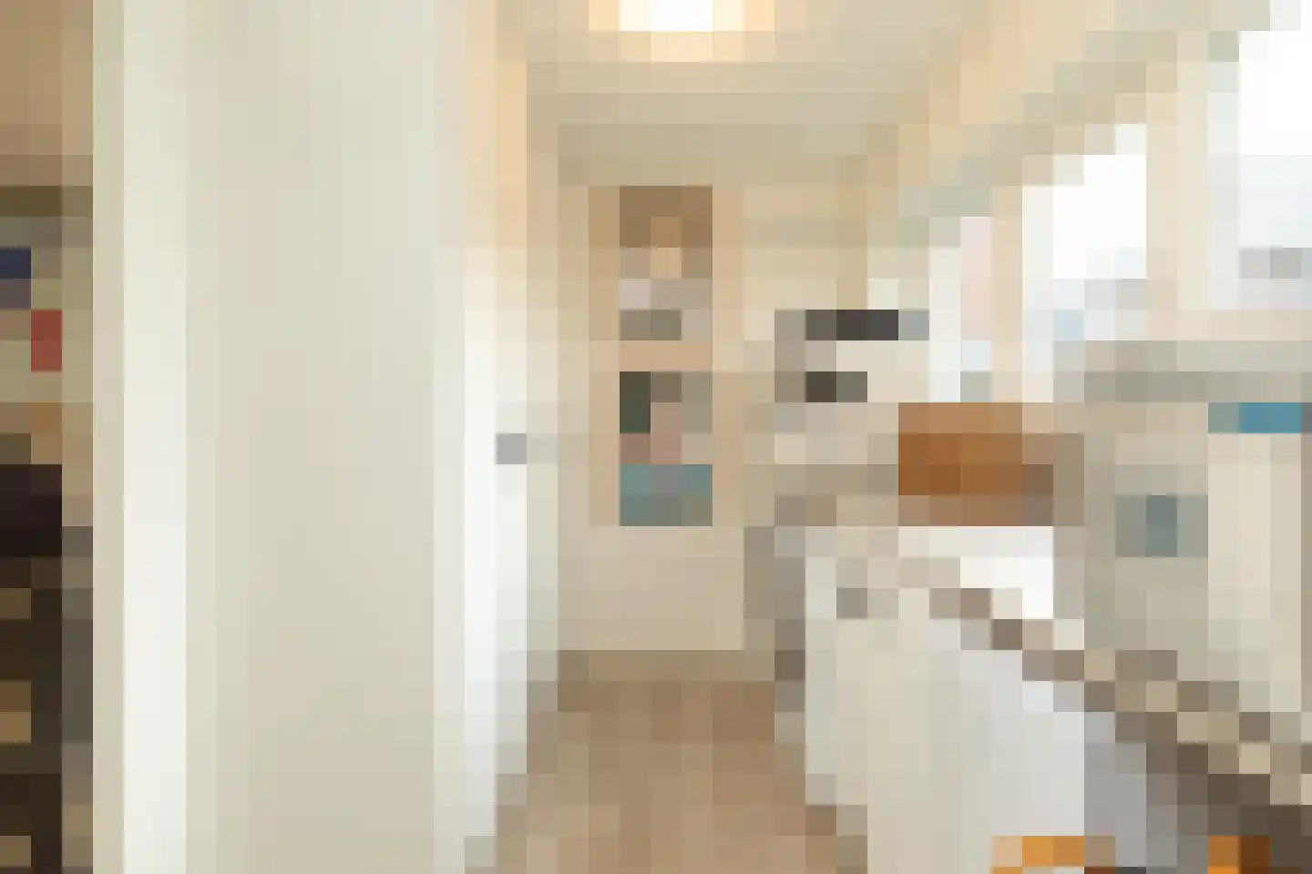 Pim Jacobsstraat 8 Hilversum thumbnail 12