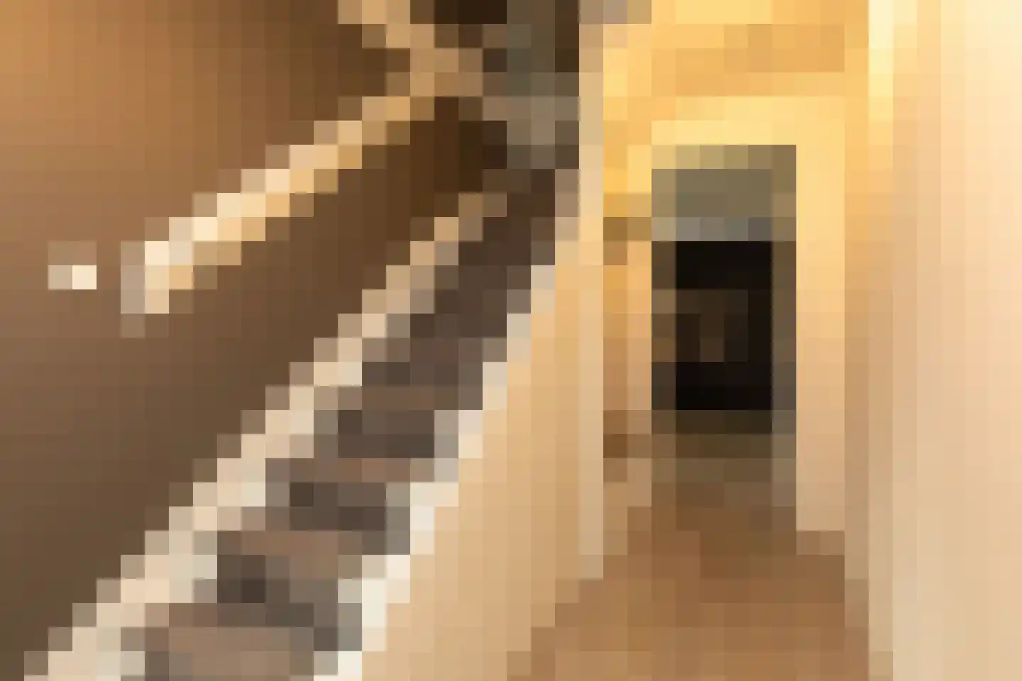 Pim Jacobsstraat 8 Hilversum thumbnail 13