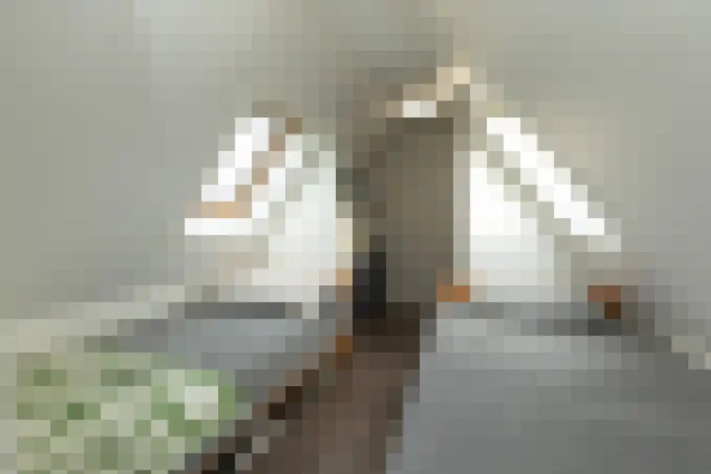 Pim Jacobsstraat 8 Hilversum thumbnail 23