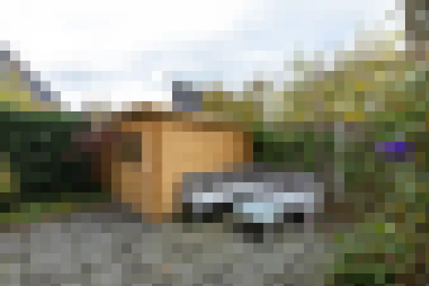 Pim Jacobsstraat 8 Hilversum thumbnail 27