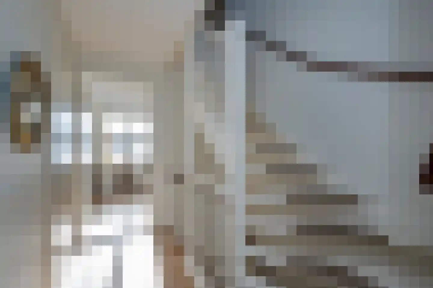 Pim Mulierstraat 5 Alphen aan den Rijn thumbnail 15