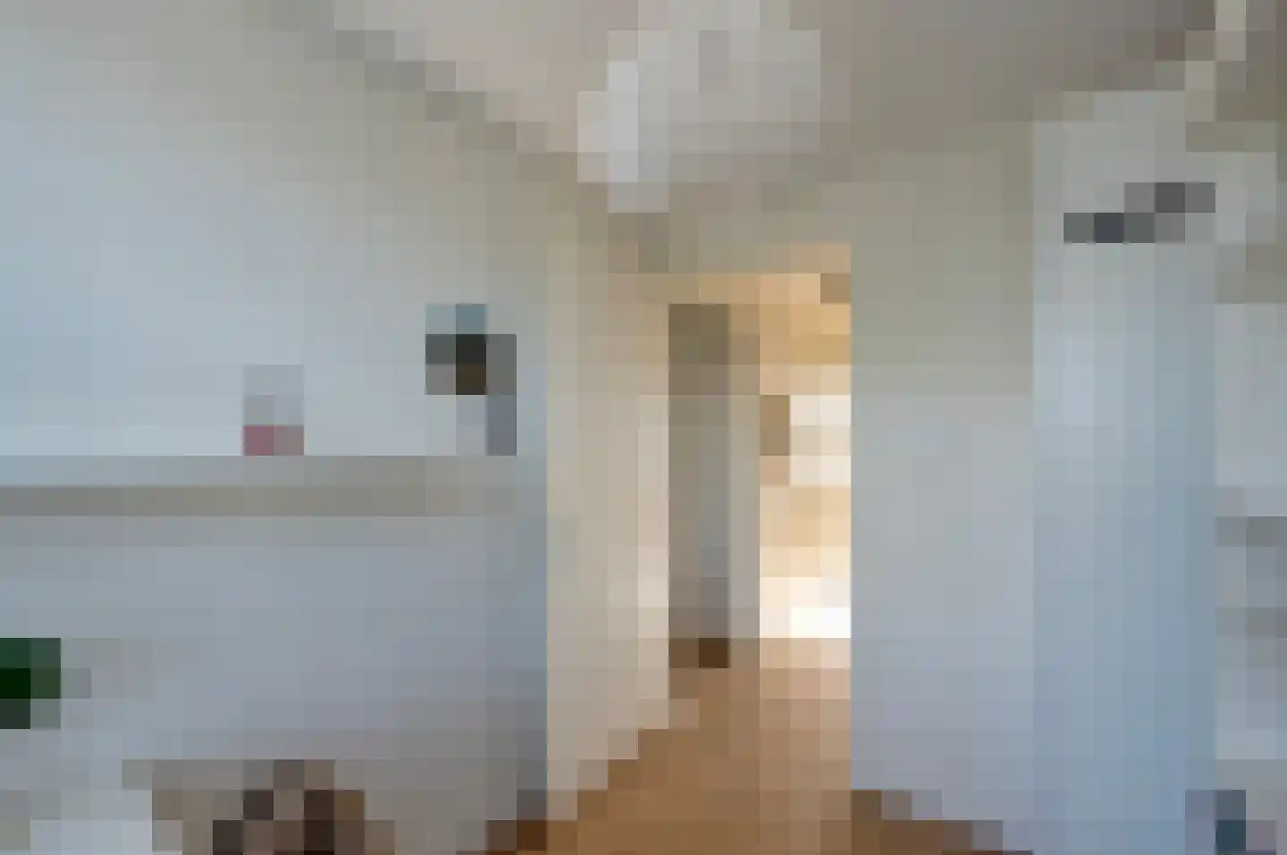 Pim Mulierstraat 5 Alphen aan den Rijn thumbnail 17