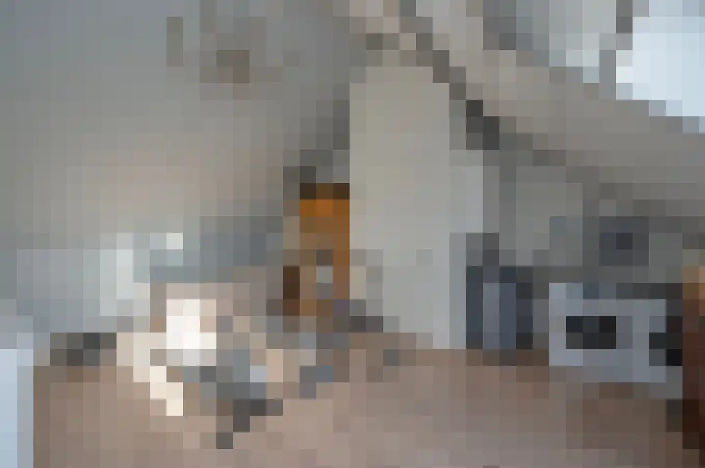Pim Mulierstraat 5 Alphen aan den Rijn thumbnail 26