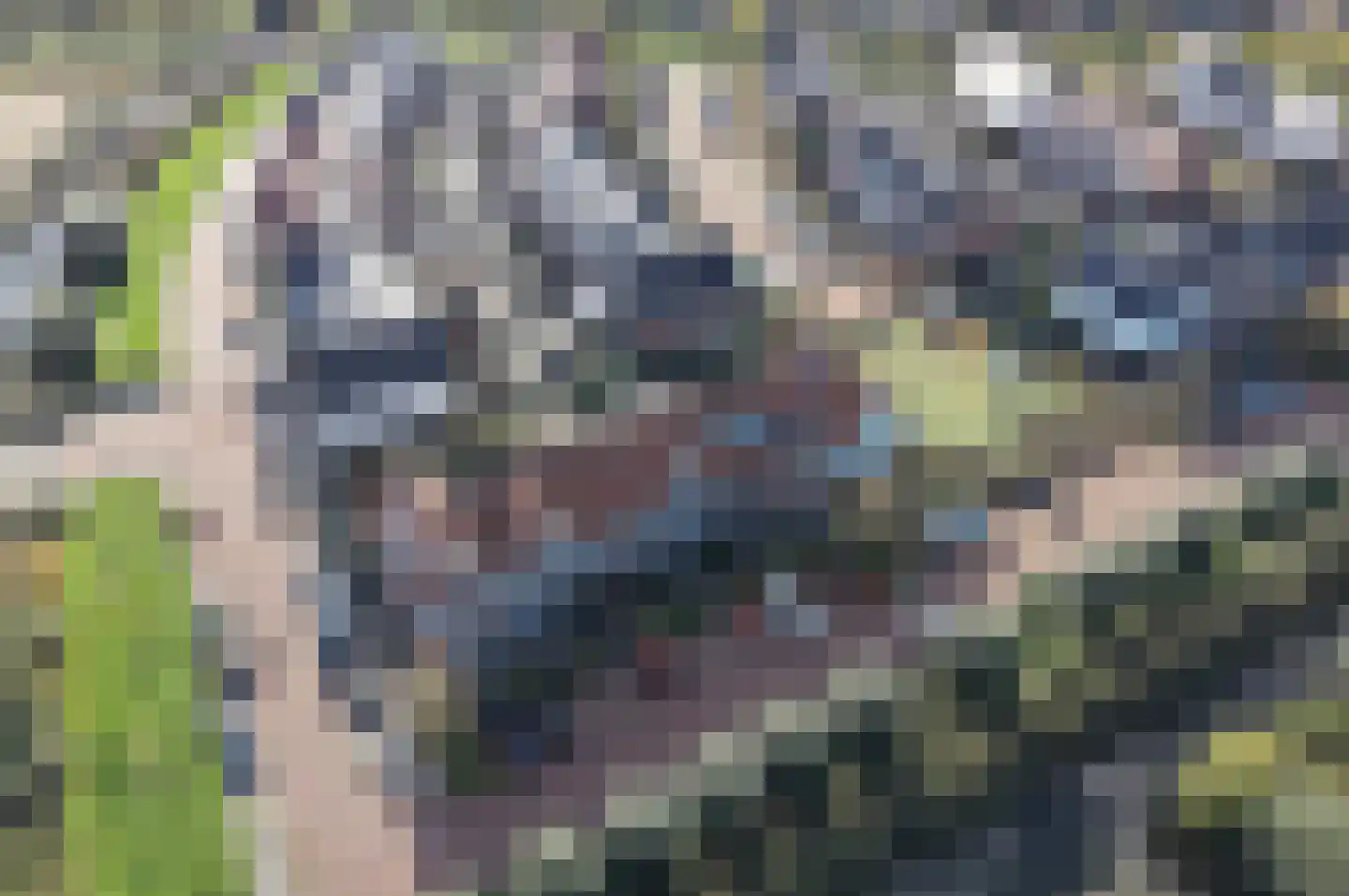 Pim Mulierstraat 5 Alphen aan den Rijn thumbnail 30