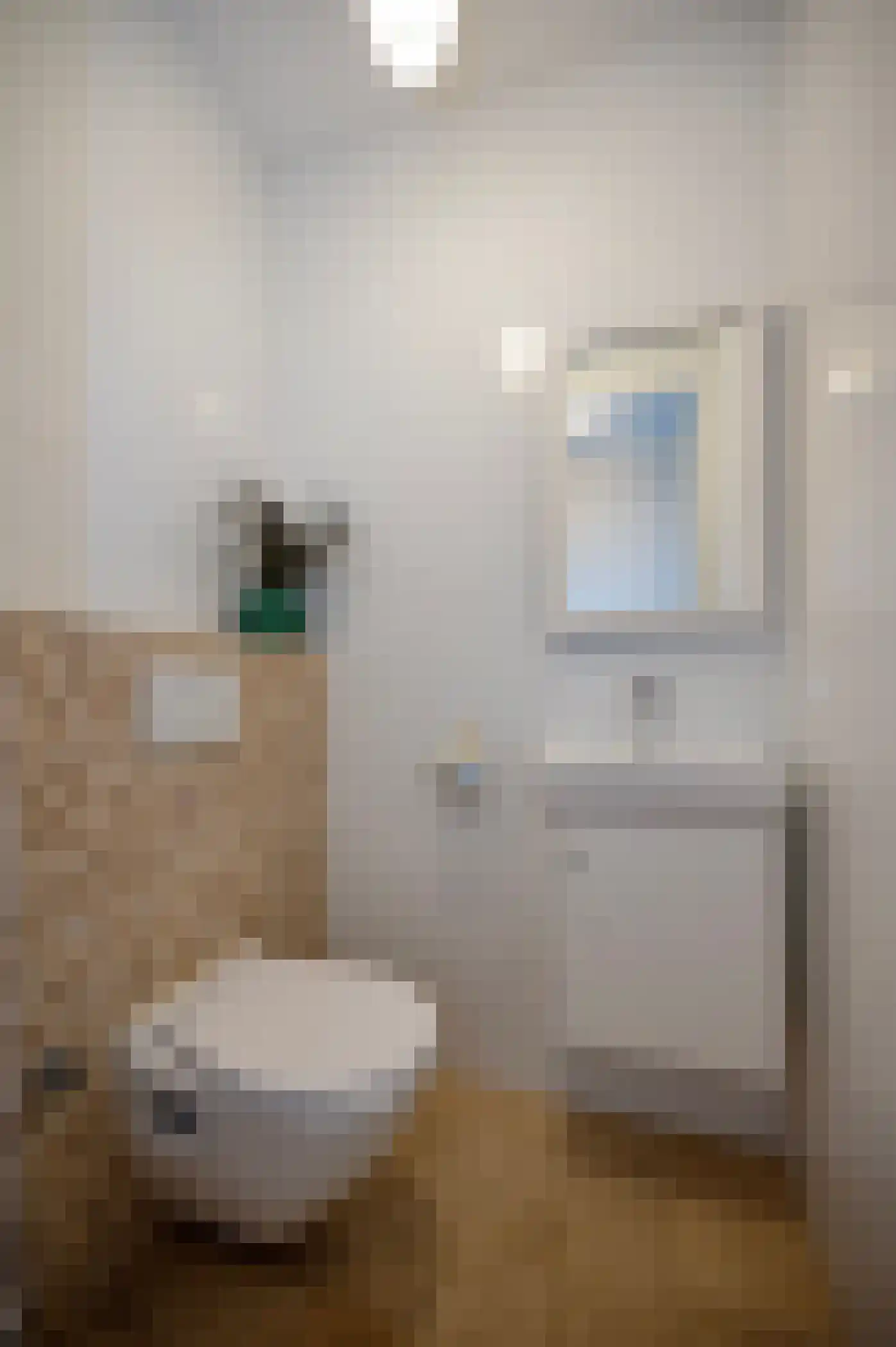 Pim Mulierstraat 5 Alphen aan den Rijn thumbnail 6