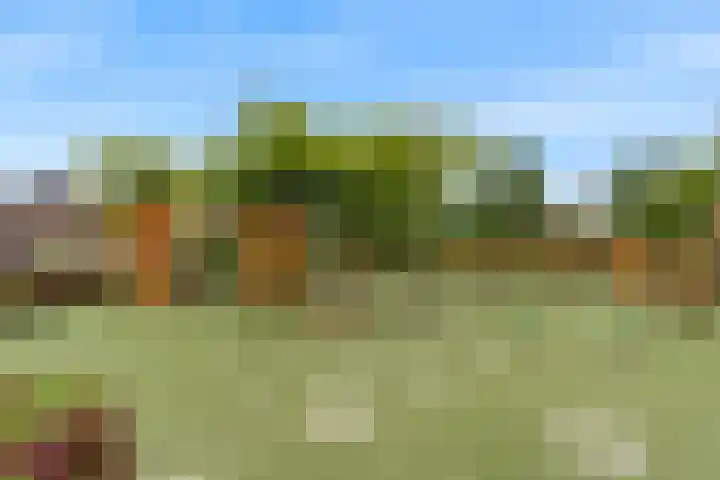 Pim Mulierstraat 7 Alphen aan den Rijn thumbnail 32