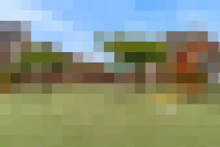 Pim Mulierstraat 7 Alphen aan den Rijn thumbnail 33