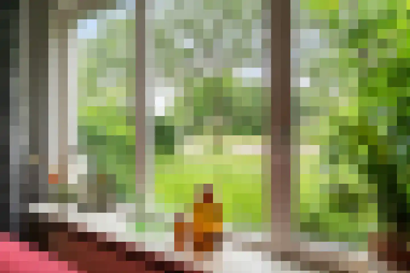 Pim Mulierwei 24 Stiens thumbnail 11