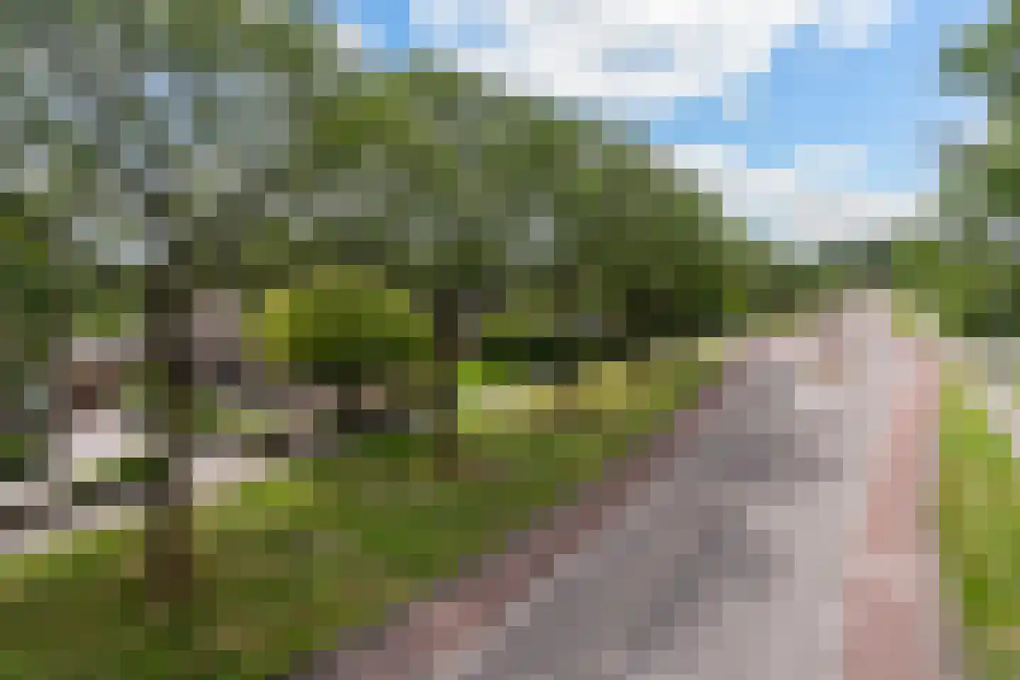 Pim Mulierwei 24 Stiens thumbnail 37