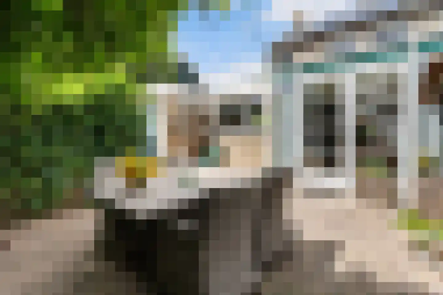 Pim Mulierwei 24 Stiens thumbnail 4