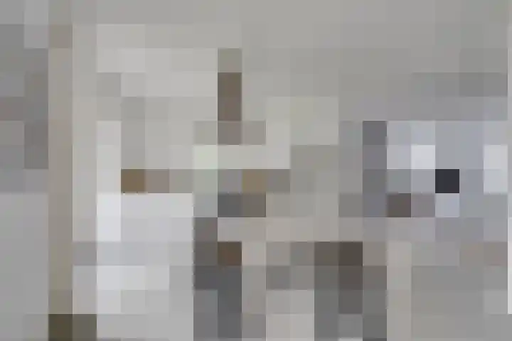 Pimentweg 3 Utrecht thumbnail 10