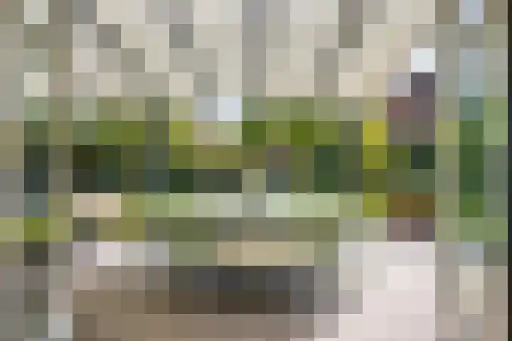 Pimentweg 3 Utrecht thumbnail 13
