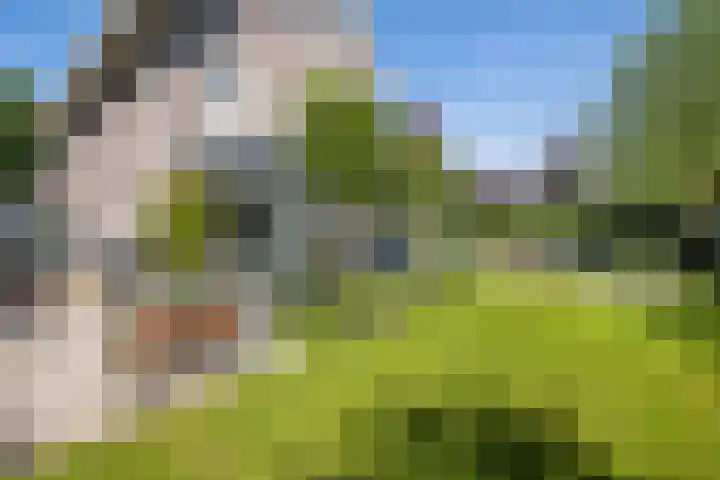 Pimentweg 3 Utrecht thumbnail 14