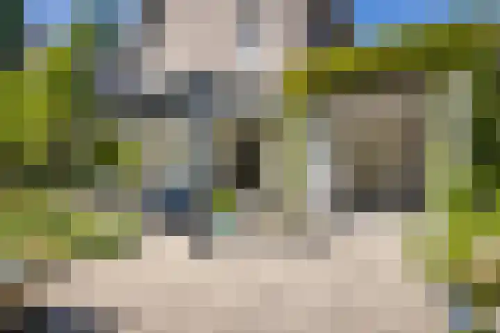 Pimentweg 3 Utrecht thumbnail 15
