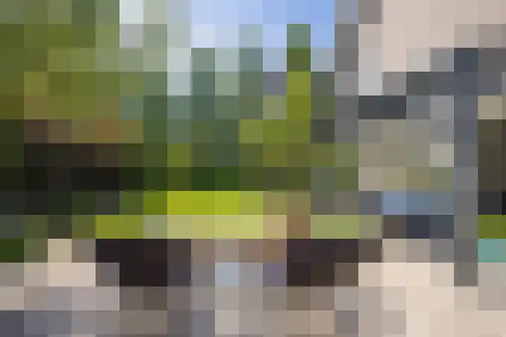 Pimentweg 3 Utrecht thumbnail 16